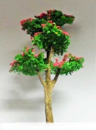 Árvore Pequena  Rosa
