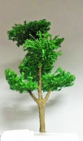 Árvore Pequena  Verde