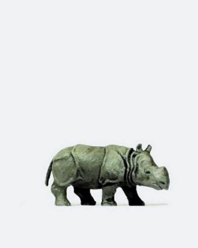 Rinoceronte Filhote 