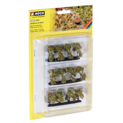 Plantação de Maça