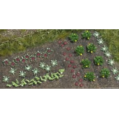 Plantação Plantação