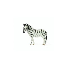 Zebra Unidade