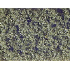 Folhagem Verde Médio 