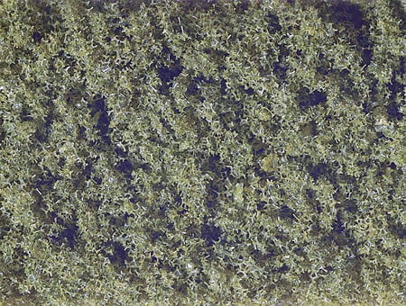 Folhagem Verde Médio 